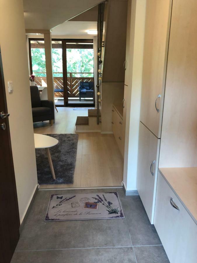 Beachfront Studio Apartman Balatonfuzfo Exterior foto